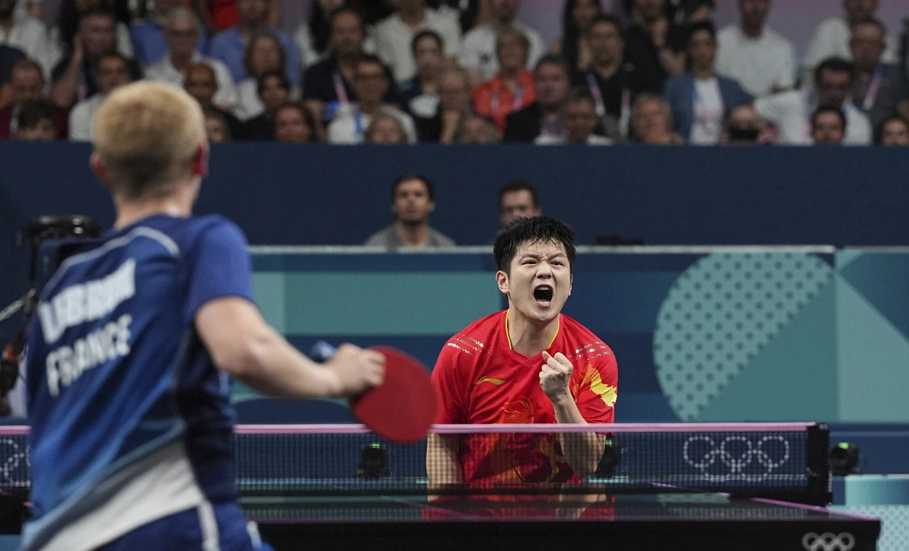 关于葡萄牙队险胜法国队，樊振东关键制胜的信息