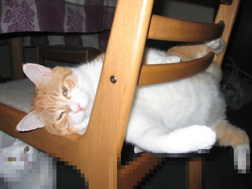 铁闸撕裂防线,阿坎吉的轰鸣一击铸就突尼斯关键战突围之路