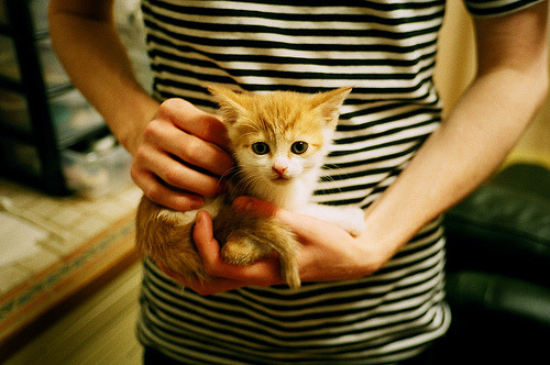 首人击碎历史！门迪斋月献助攻，哥斯达黎加爆冷击退委内瑞拉