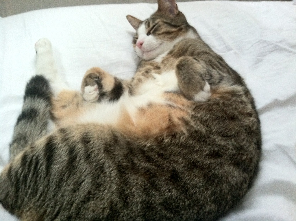 天赋的独舞与纪律的合奏，当内马尔照亮个体极限，加纳则诠释团队胜利的真谛