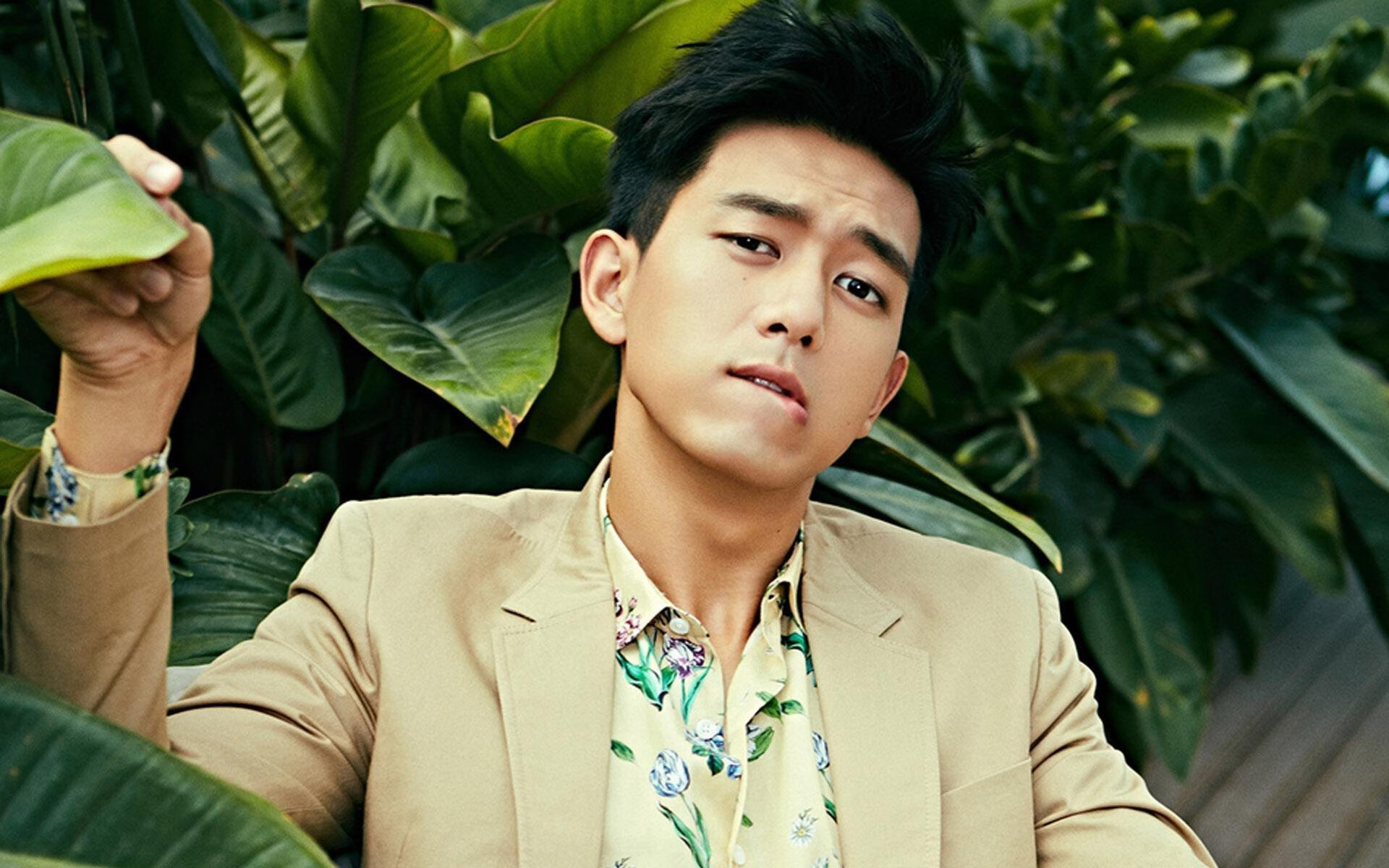 唯一性，当完美个体撞上粉碎机器—阿克与爱尔兰的胜利悖论