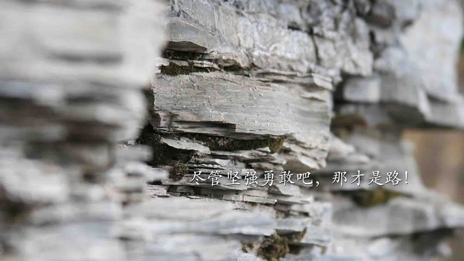致命一击,当托纳利的左脚改写了足球世界的唯一剧本