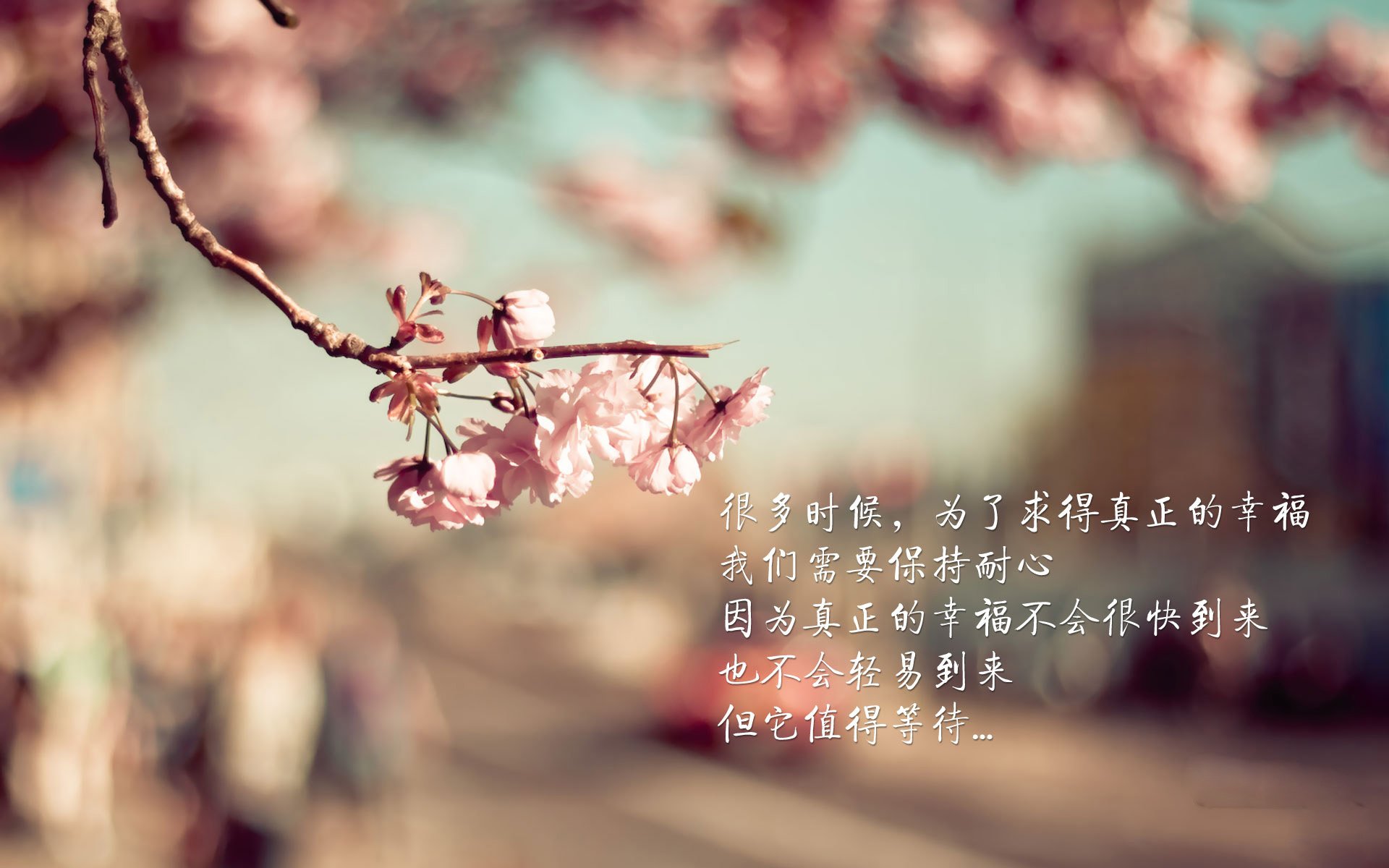 绝境橙衣,范戴克铁血统治,奥地利临场变阵力克哥伦比亚,2026世界杯C组爆出惊天冷门